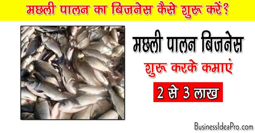 Fish Farming Business in Hindi