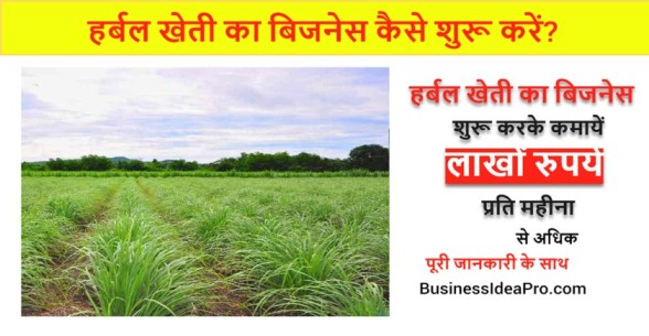 Herbal-Farming-Business-in-Hindi