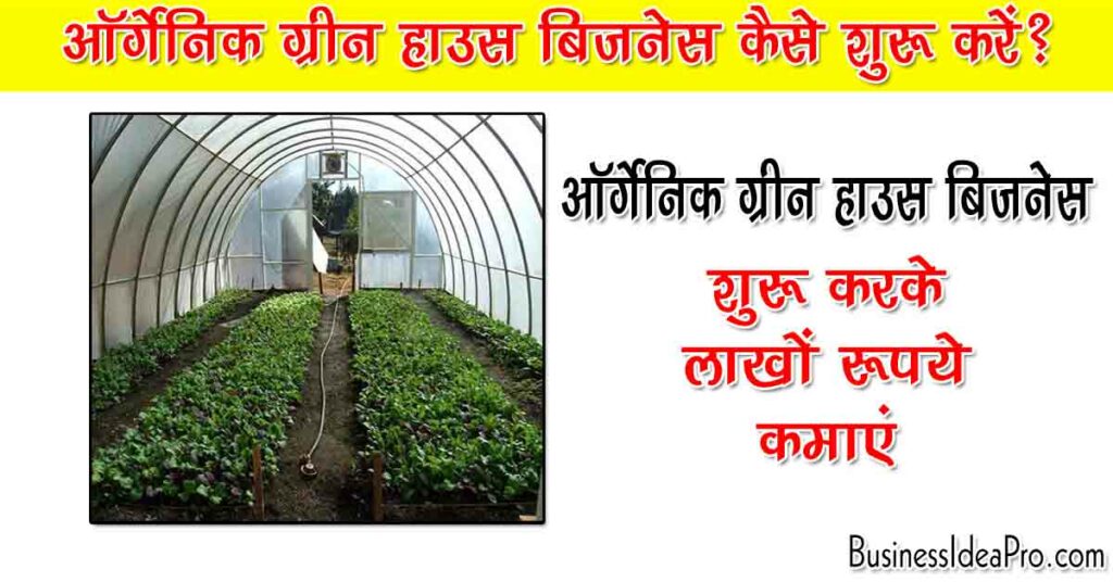 Organic Greenhouse Business in Hindi
