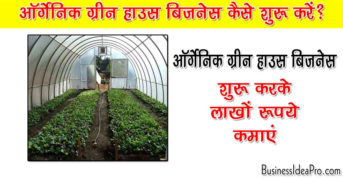ऑर्गेनिक ग्रीन हाउस बिजनेस कैसे करें? Organic Greenhouse Business in