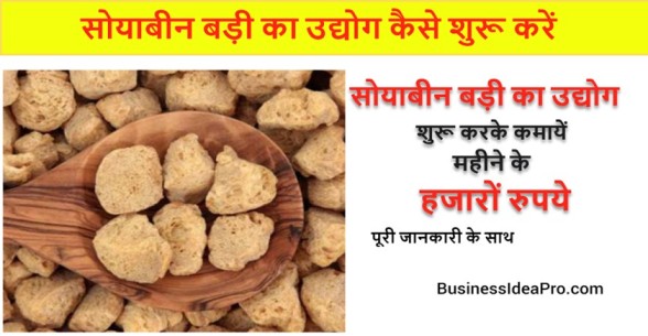 Soya Chunks Manufacturing Business in Hindi