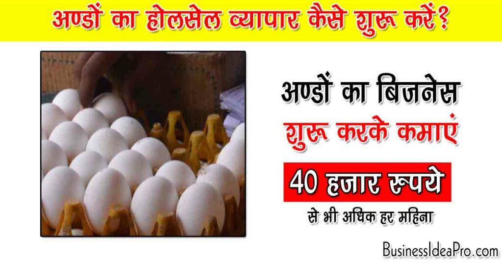 Egg Wholesale Business in Hindi