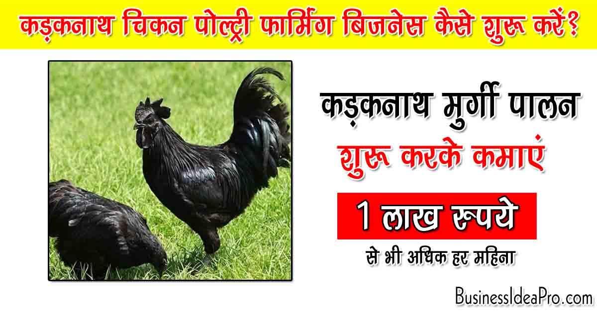 कड़कनाथ पोल्ट्री फार्मिंग बिजनेस कैसे शुरू करें Kadaknath Poultry Farming Business In Hindi 
