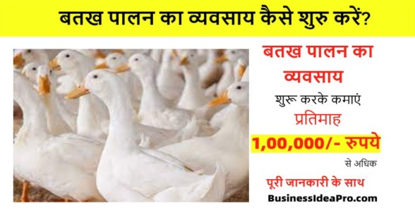 Duck-Farming-Business-Plan-In-Hindi