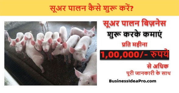 Pig-Farming-Business-in-Hindi