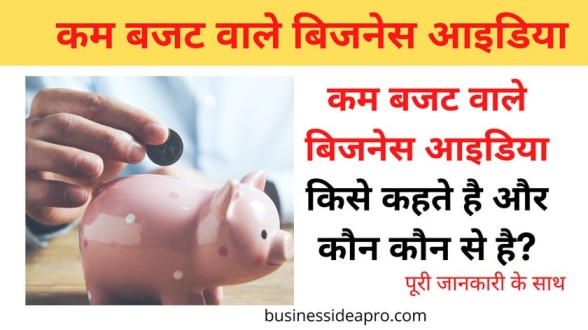 Low Budget Business Ideas in Hindi