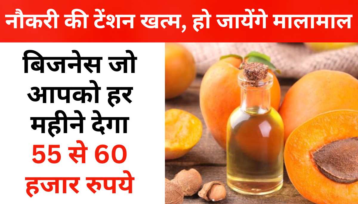 Apricot Oil Business Idea in Hindi